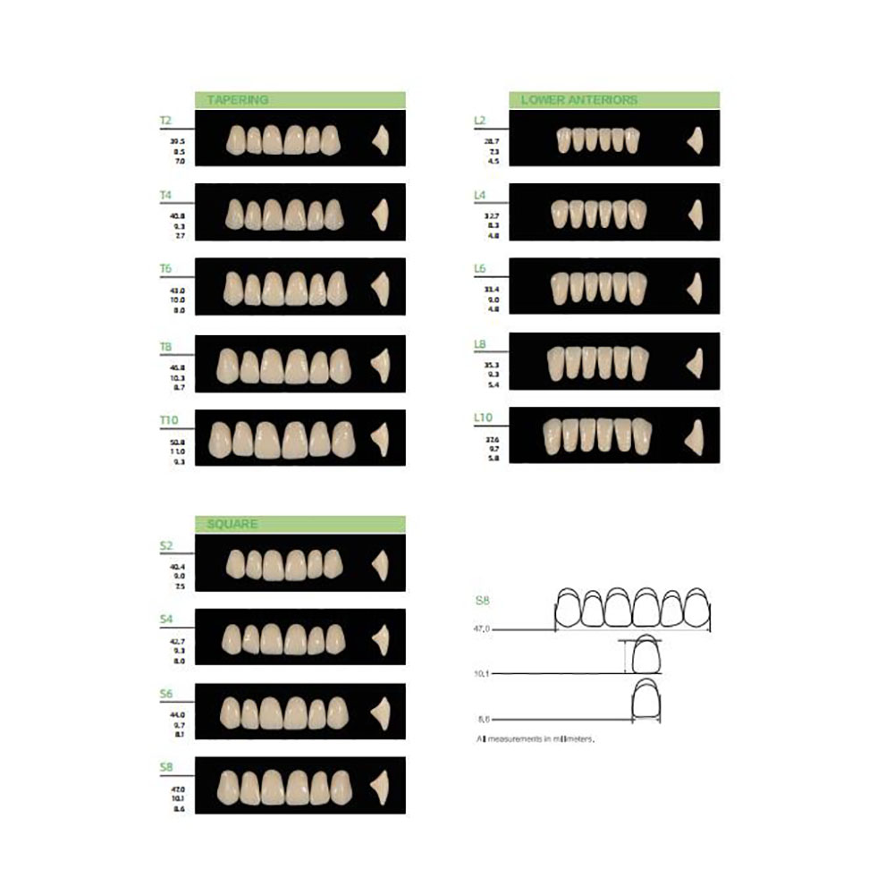 4/12/16 Sätze/Box Dental-Harzz – Resin Art Case Bewertung und Preis