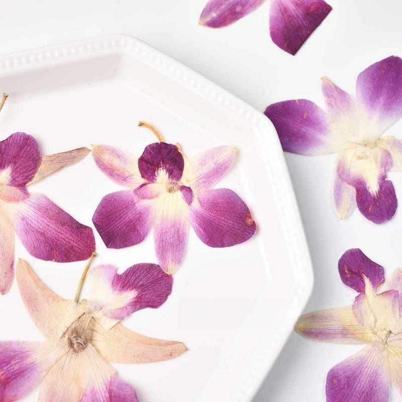 4 Stück, Echte Gepresste Schme – Resin Art Baby Bewertung und Preis