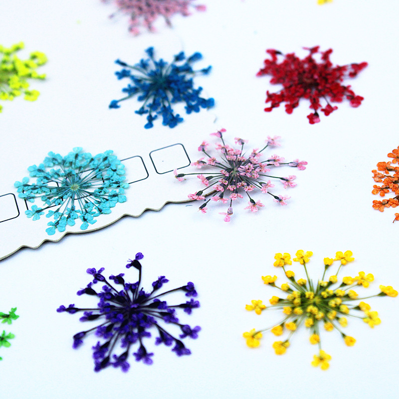 500 Stück Spitzenblumen Getroc – Resin Art Baby Bewertung und Preis