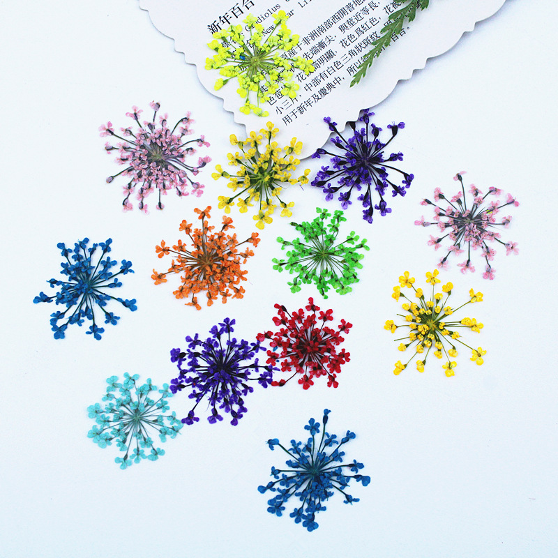 500 Stück Spitzenblumen Getroc – Resin Art Baby Bewertung und Preis