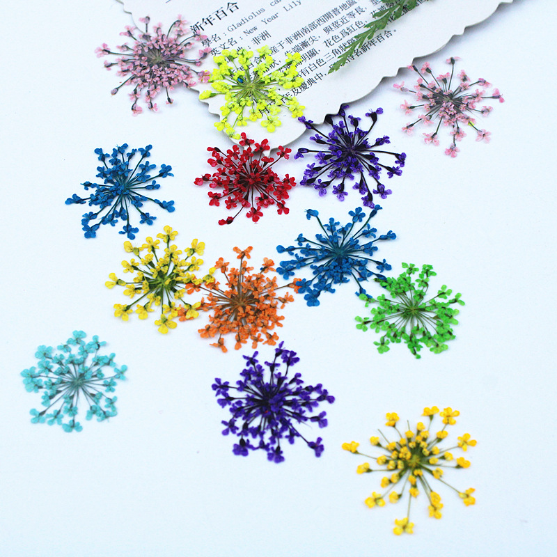 500 Stück Spitzenblumen Getroc – Resin Art Baby Bewertung und Preis